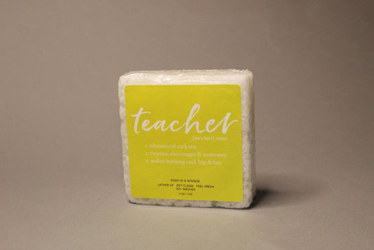 Teacher Soap Sponge