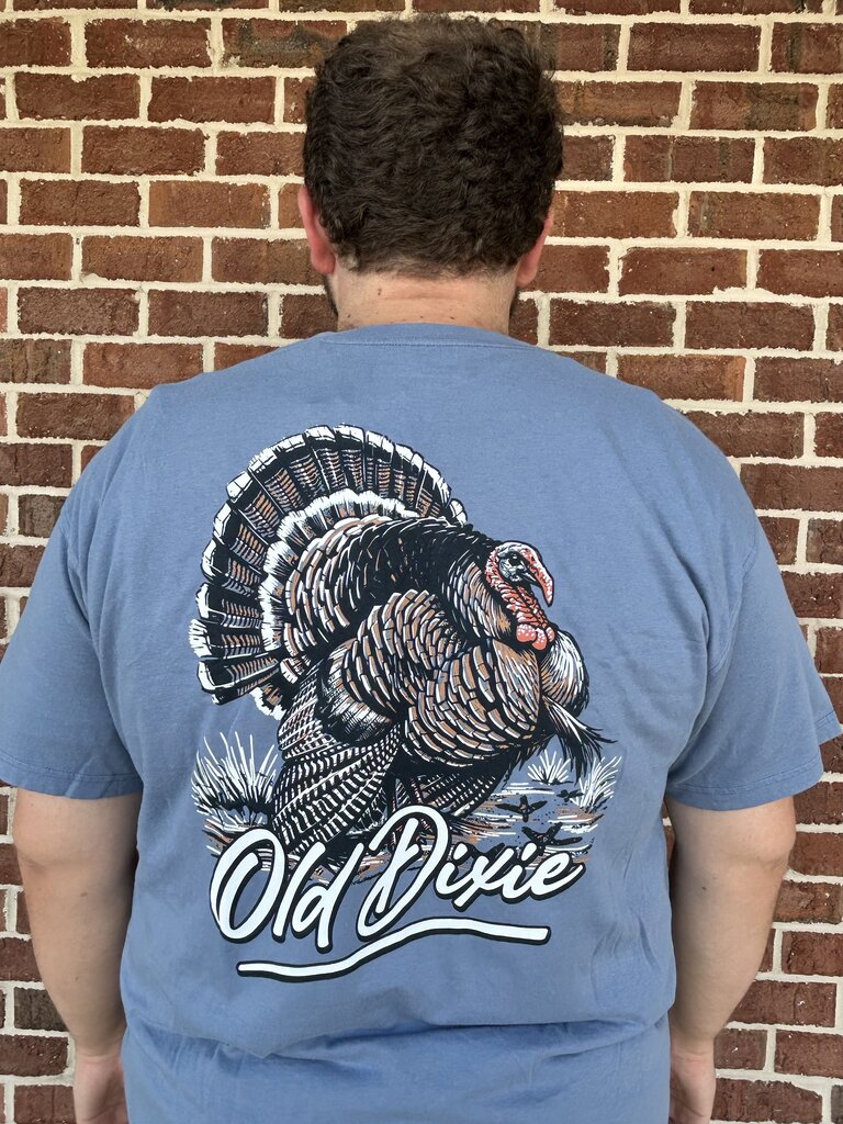 Old Dixie Longbeard